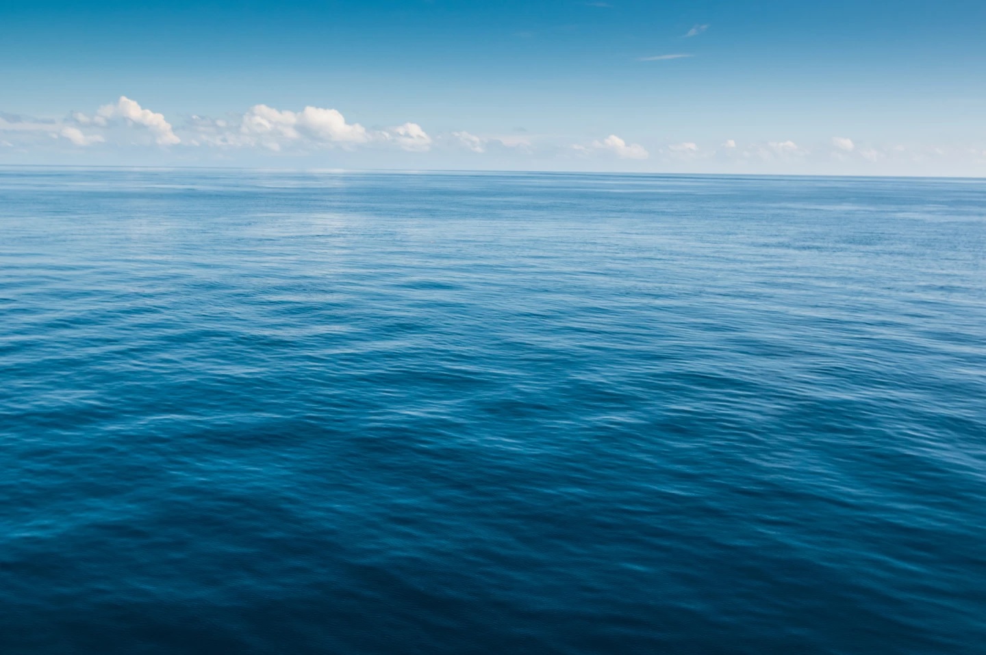 Ocean Teb Danesh Ltd.